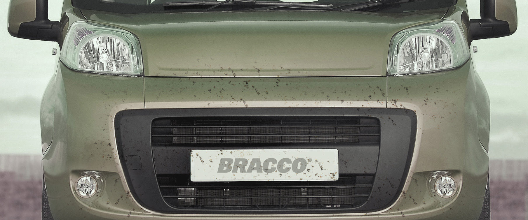 Insect Screen Protectors